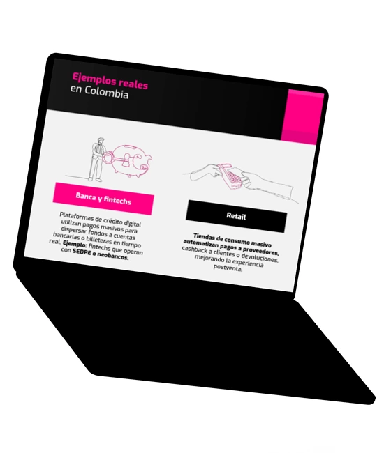eBook sobre pagos masivos visualizado en una computadora